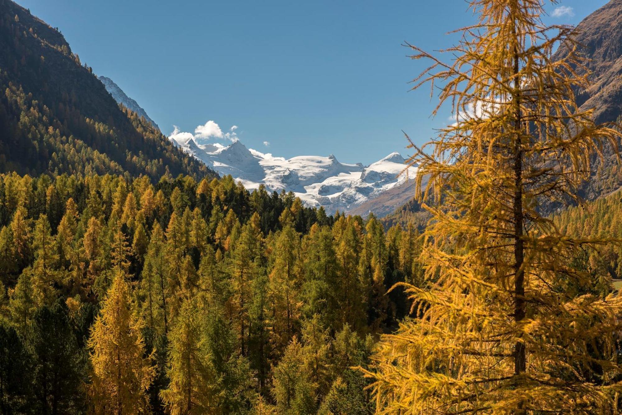 Hotel Saratz Pontresina Εξωτερικό φωτογραφία